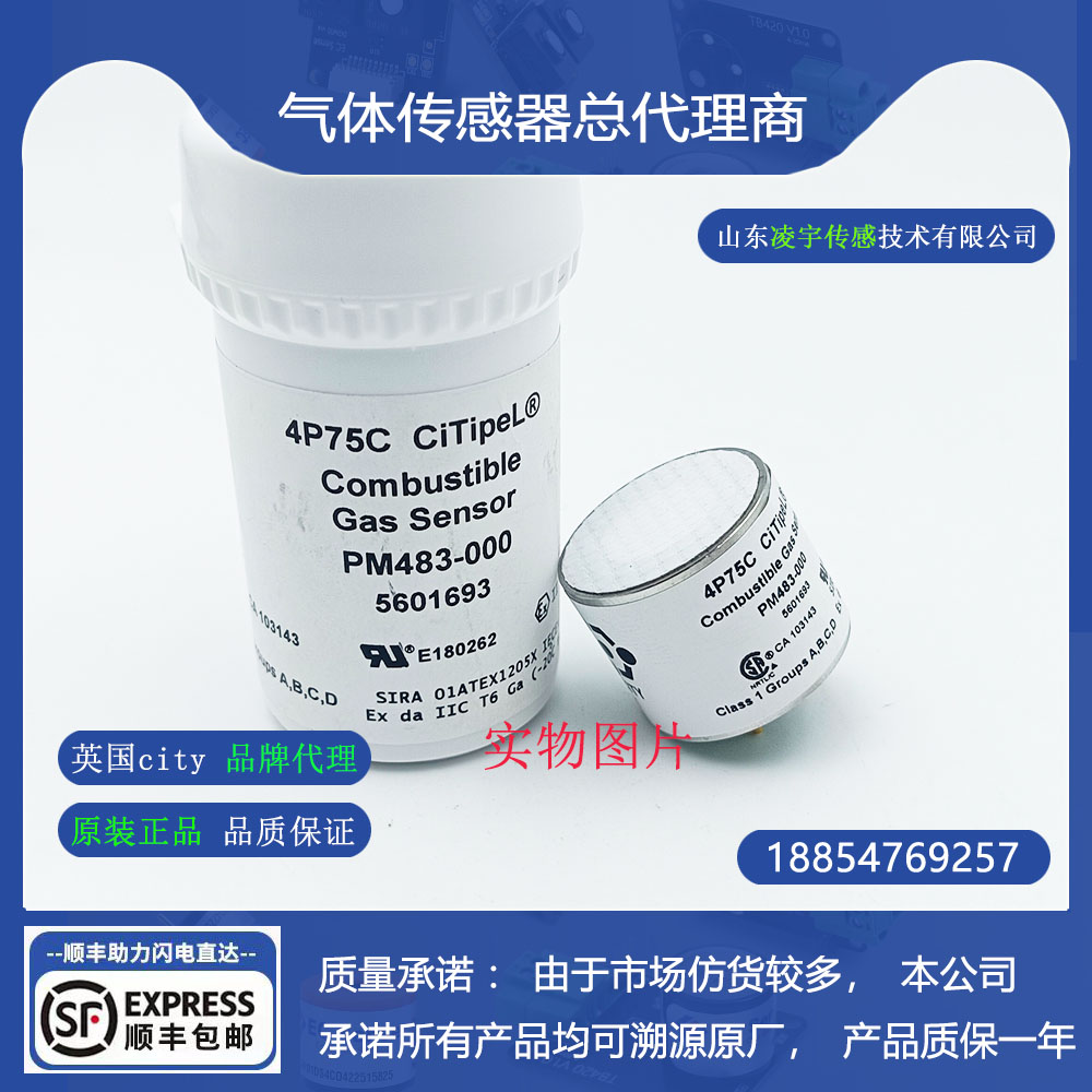 4P-75C可燃气体传感器英国city