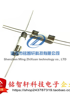 524 T10AH250V T16AH250V T10A/T16A/T20A 5*20带引脚陶瓷保险丝