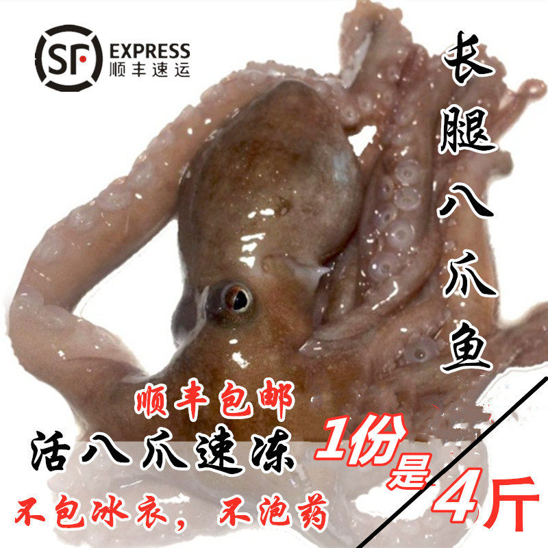 国产长腿小八爪鱼鲜活章鱼爆头新鲜八带稍冷冻水产满4斤包邮