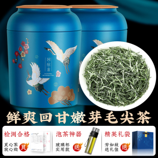 新茶毛尖茶叶自己喝信阳明前嫩芽新鲜春茶绿茶正品官方旗舰店
