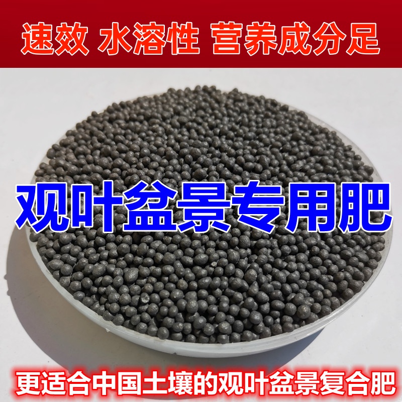 园艺观叶绿植营养肥料