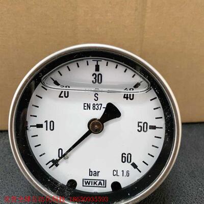 威卡WIKA压力表 213.40.063 60bar