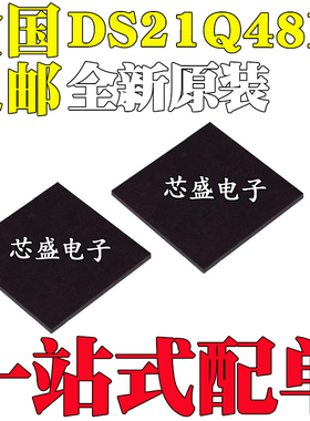 全新原装进口 DS21Q48N 封装 BGA144 接口芯片