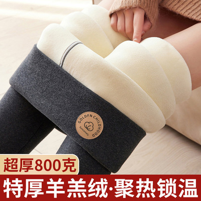 赛迪800g特厚羊羔绒打底裤女冬季外穿高腰棉裤加绒加厚裤子鲨鱼裤
