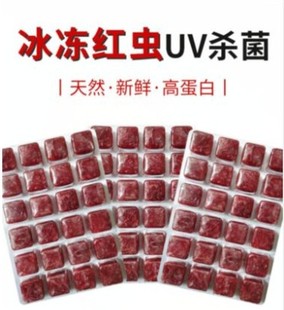 冷冻红虫冰冻血线赤虫红线虫鹦鹉罗汉七彩金鱼六角龙鱼食饲料饵料