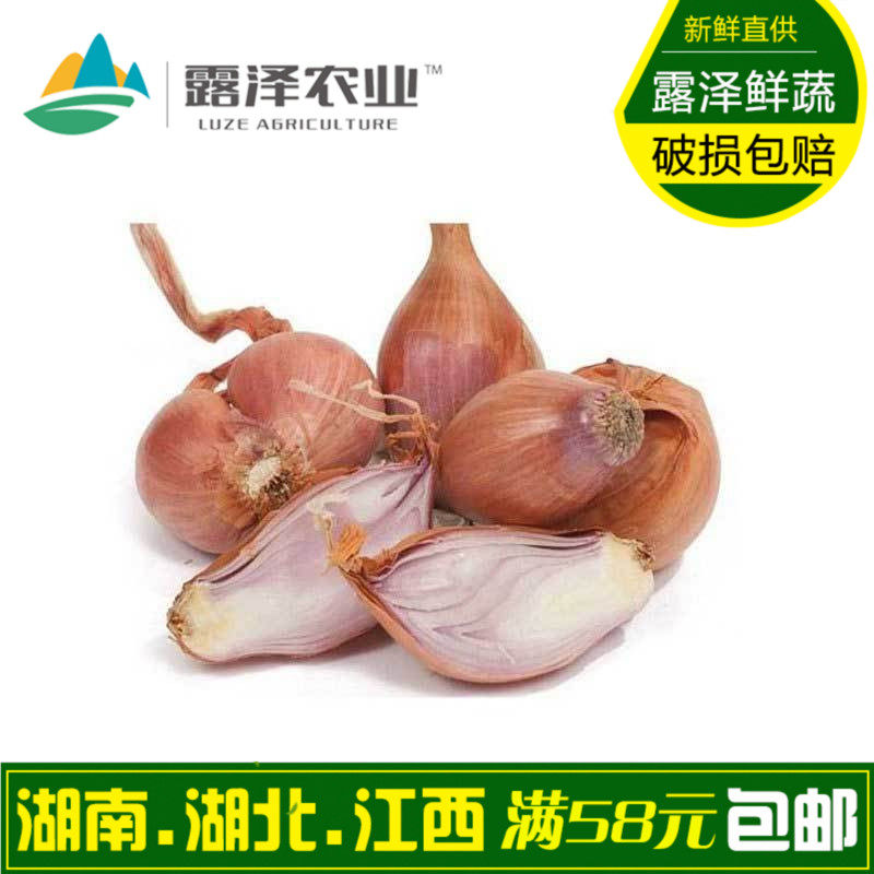 【露泽鲜蔬】新鲜小干葱 小洋葱头 毛葱 西餐香料500g