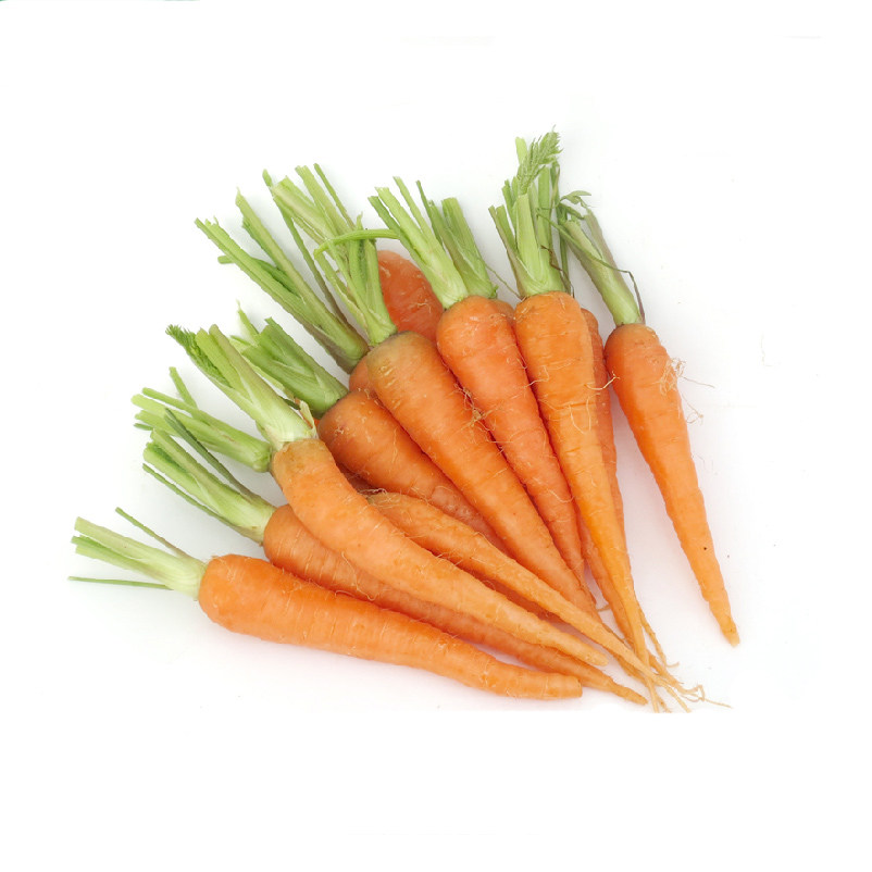 【露泽鲜蔬】迷你小胡萝卜新鲜沙拉菜 去叶手指萝卜西餐摆盘