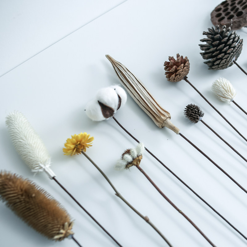 Echinacea Golden Ball Lotus Acorn Daisy Okra Monstera Cotton diy decorate a decoration Dried flowers shot propin the Flower delivery/Flowers simulation/Plants gardening , Spend eternity/Dried flowers , Dried flowers  category - from Buy2taobao.com to provide professional Taobao agent buy service