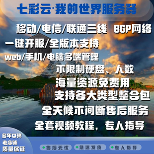 我的世界服务器MC服务器开服Minecraft服务器面板服租赁