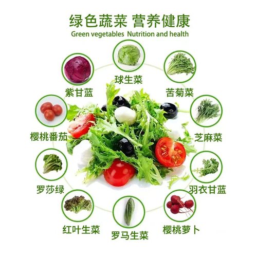 新鲜生菜色拉组合装3斤/5斤即食