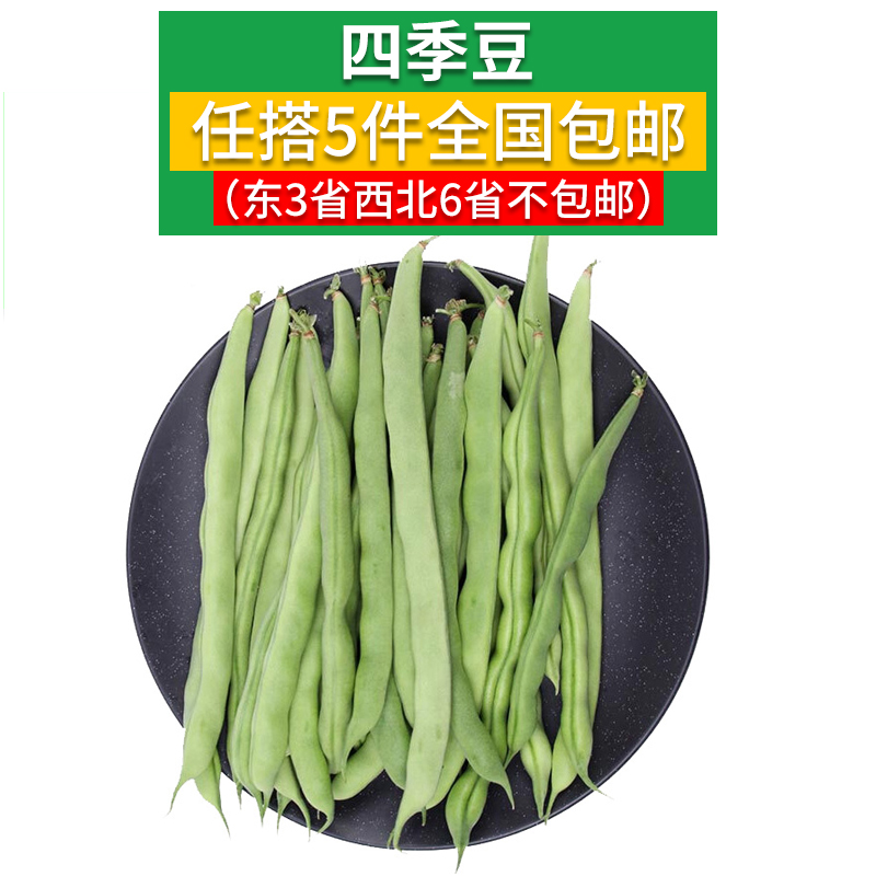 [Let's take 5 copies.]Fresh kidney beans 500 gram fresh Green beans fresh Beansin the Aquatic meat/Fresh fruits and vegetables/Cooked , Fresh vegetables/Vegetable products , Fresh vegetables , Fresh beans category - from Buy2taobao.com to provide professional Taobao agent buy service