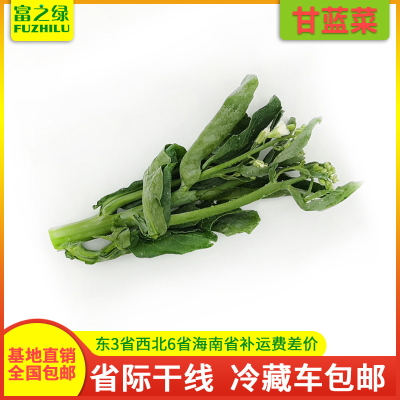 新鲜芥蓝菜3斤-20斤包邮 农家现摘 芥兰菜 3/5/10斤/20斤蔬菜批发