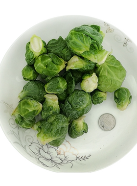 新鲜孢子甘蓝1斤-20斤西餐食材