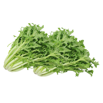 新鲜苦菊500克苦叶生菜