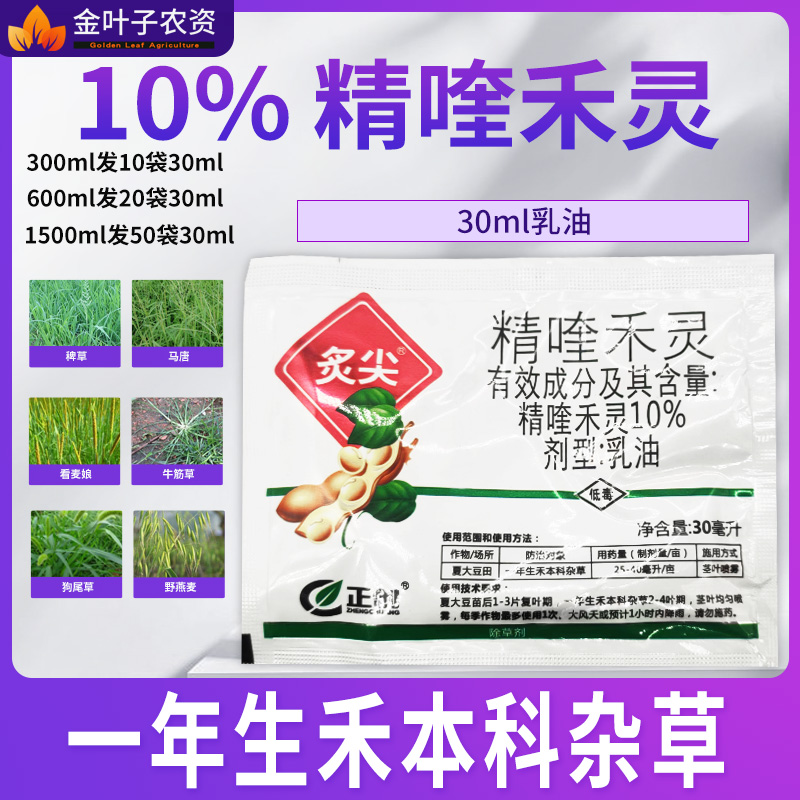 10%精喹禾灵农药除草剂马唐稗草看麦娘狗尾草牛筋草野燕麦千金子