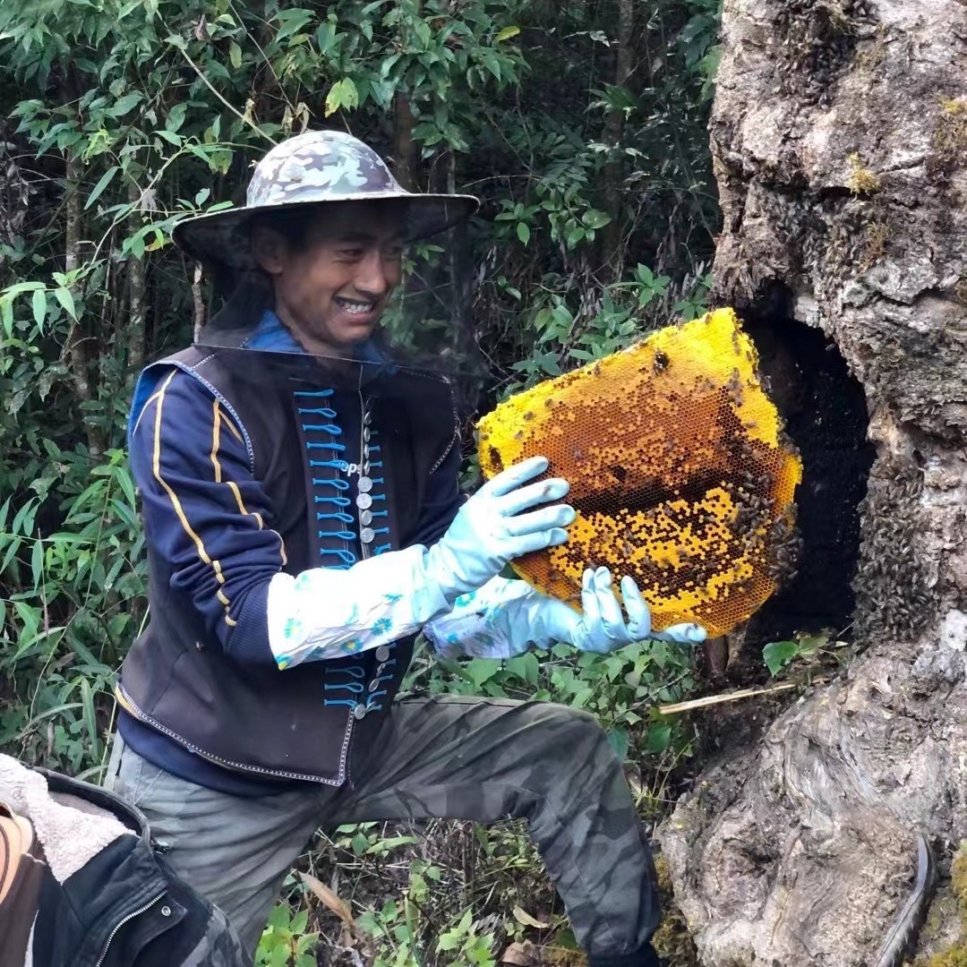 云南德宏野外树洞百花蜂巢蜜老巢天然百花结晶土蜂猪油蜜小罐蜂蜜