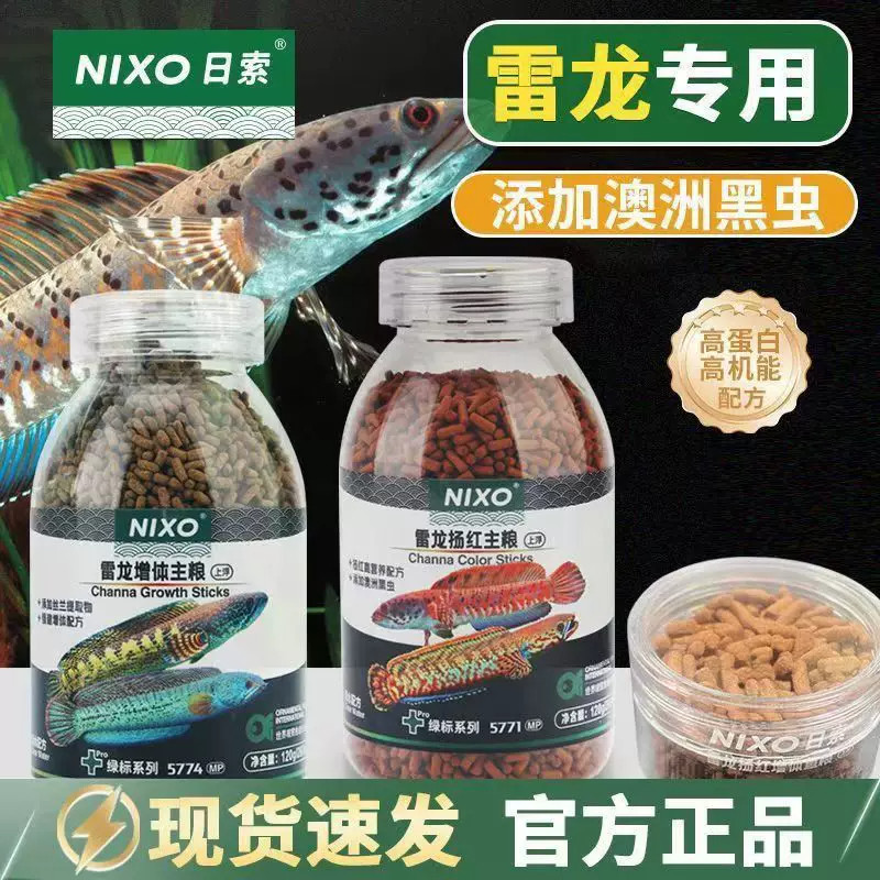 日索雷龙鱼饲料巴卡阿萨姆雷龙