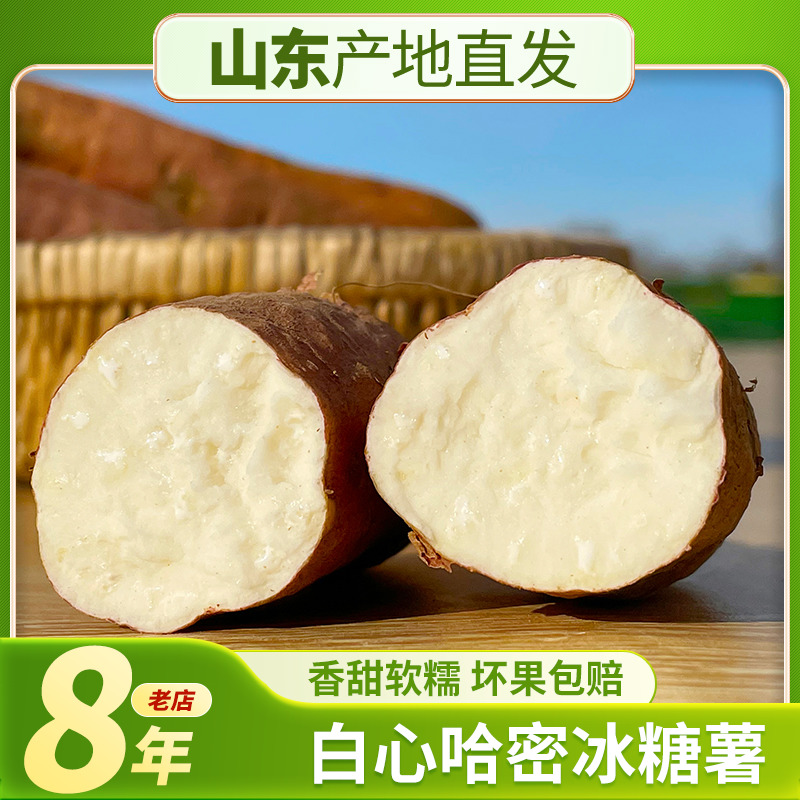 袁小胖白心山东哈密冰糖心5斤