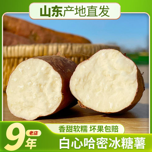 袁小胖白心山东哈密冰糖心5斤