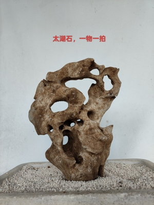 天然原石奇石鱼缸摆件假山石头景观石盆景园林灵璧石C12