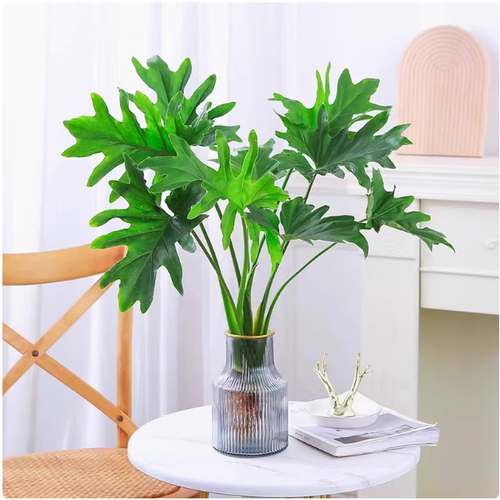 室内绿植常春雨水培蔓绿绒龟背竹青绿植物盆栽面萝好养办公桌春羽