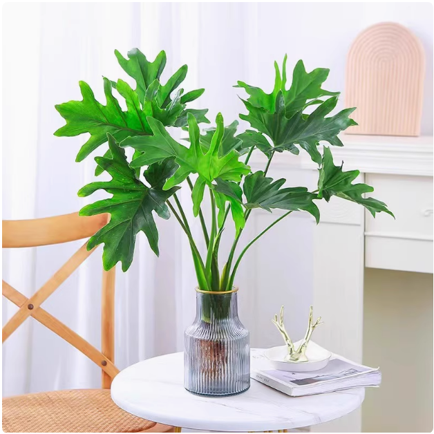 室内绿植常春雨水培蔓绿绒龟背竹青绿植物盆栽面萝好养办公桌春羽