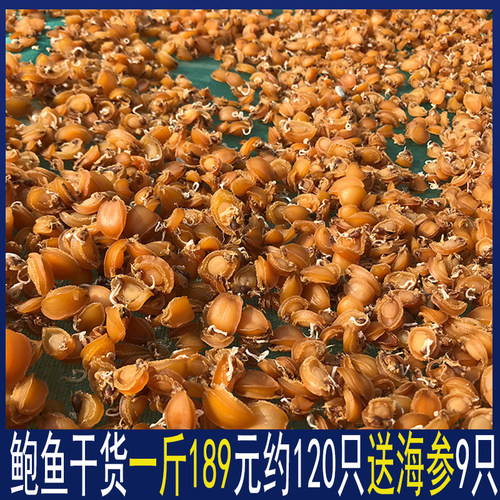 送海参鲍鱼干一斤500g大连黄金干鲍仔迷你礼盒装货煲粥炖汤非即食