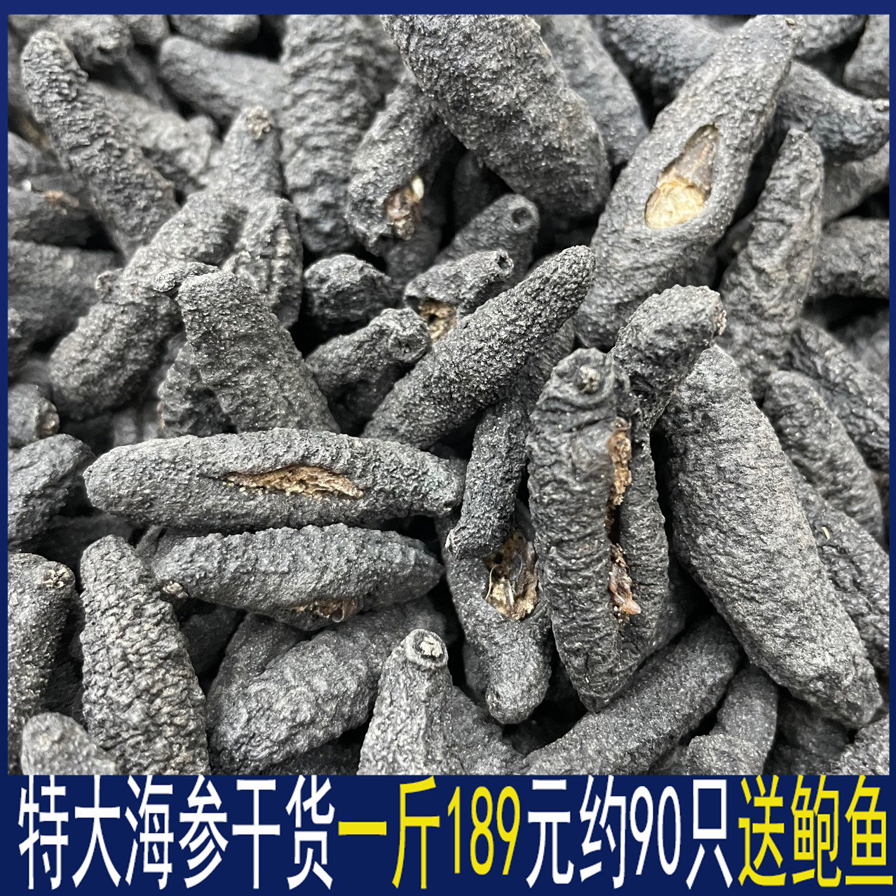 送鲍鱼乌参螺纹参海参干货一斤500g野生散装刺参海渗礼盒装非即食