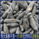 送鲍鱼乌参螺纹参海参干货一斤500g野生散装 刺参海渗礼盒装 非即食