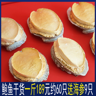 送海参大连鲍鱼干一斤500g约60只仔煲汤煲粥鲜美海产品海鲜干货