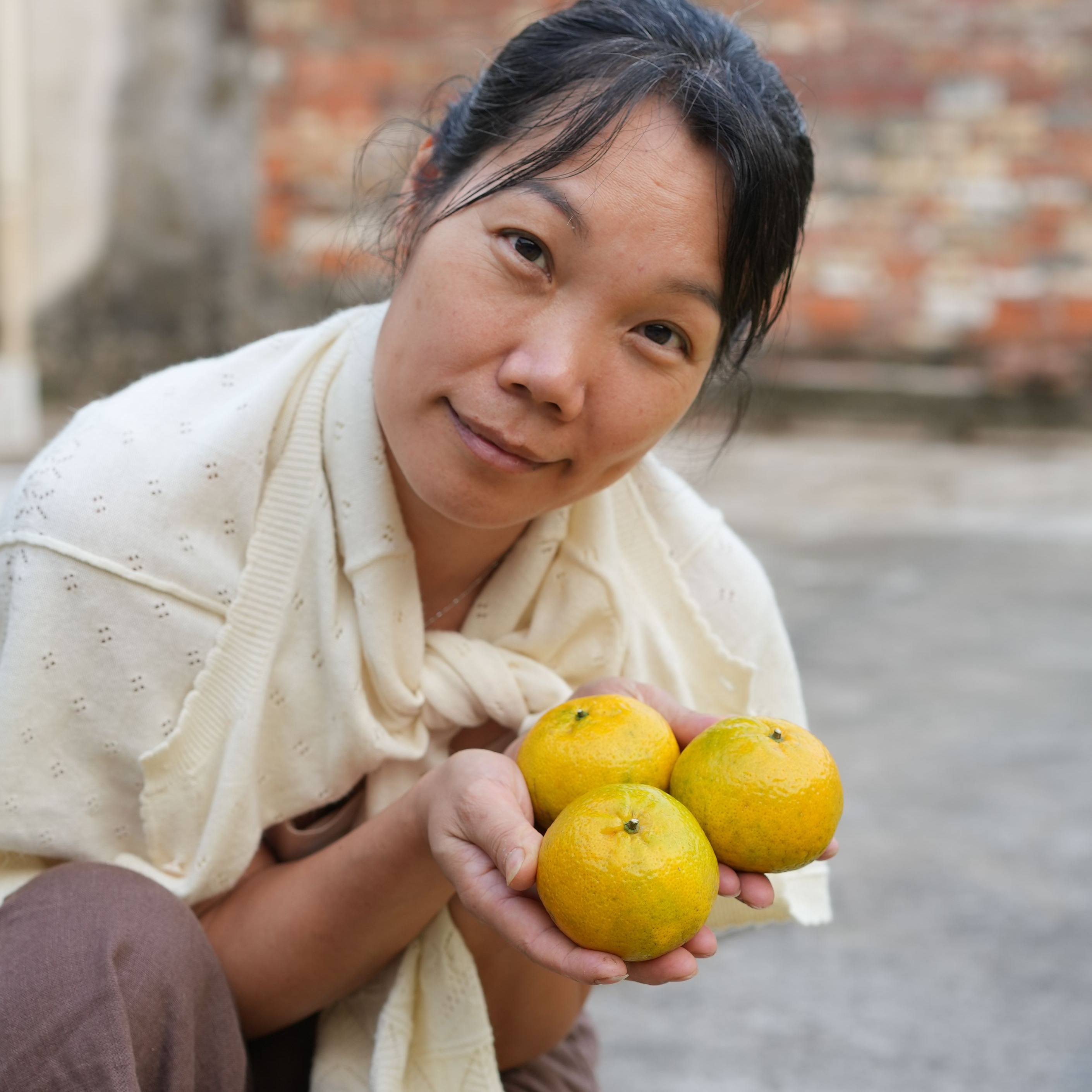 谊沏2025年三江深吕圈枝东甲天马礼乐新会大红柑鲜果10斤20斤