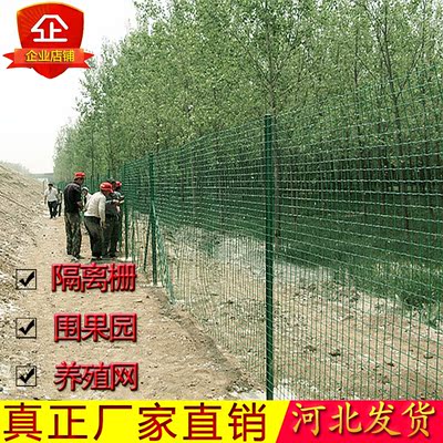 硬塑荷兰网铁丝网围栏养殖网钢丝栅栏防护网高速公路护栏网圈地网