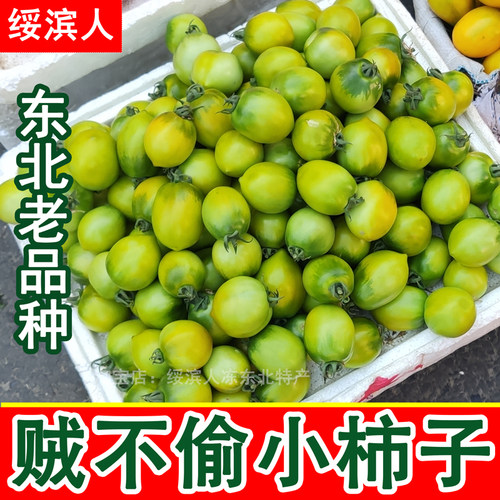 黑龙江老品种贼不偷沙瓤小番茄
