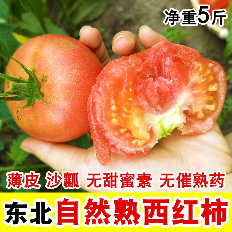 黑龙江沙瓤西红柿无催熟药5斤