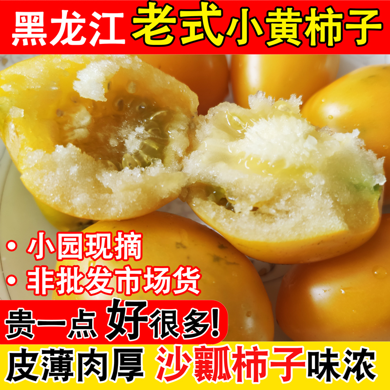 黑龙江老品种自然熟沙瓤小黄柿子