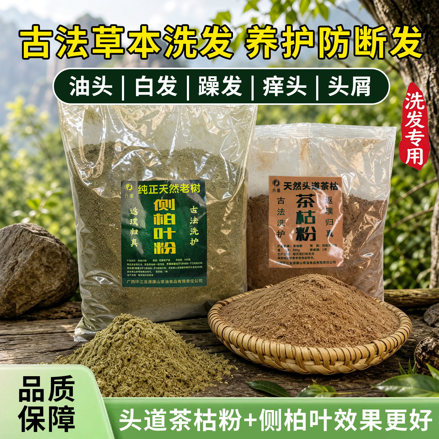 广西正宗茶枯粉侧柏叶粉洗头养发