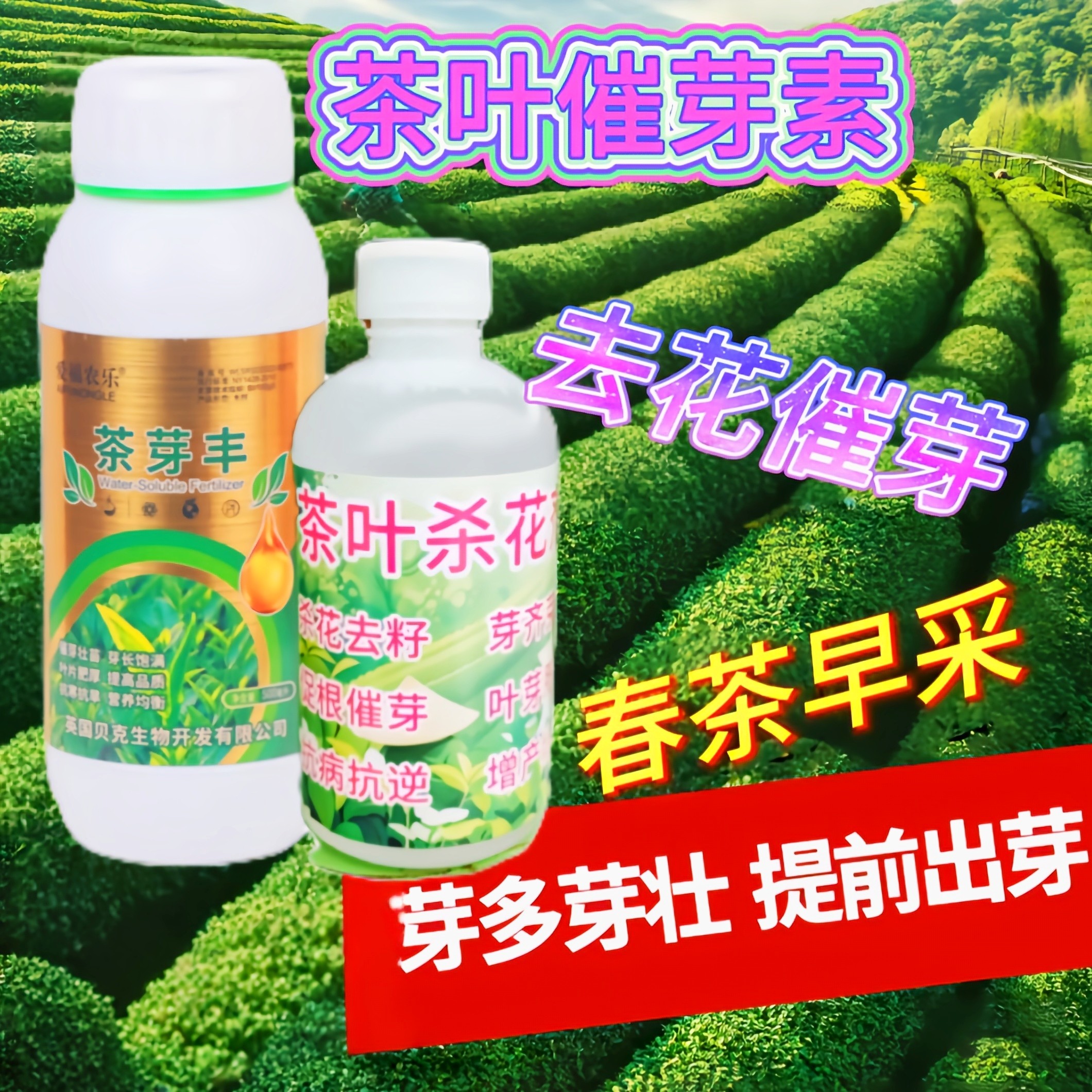 茶叶催芽仙露，茶叶专用叶面肥，叶面肥