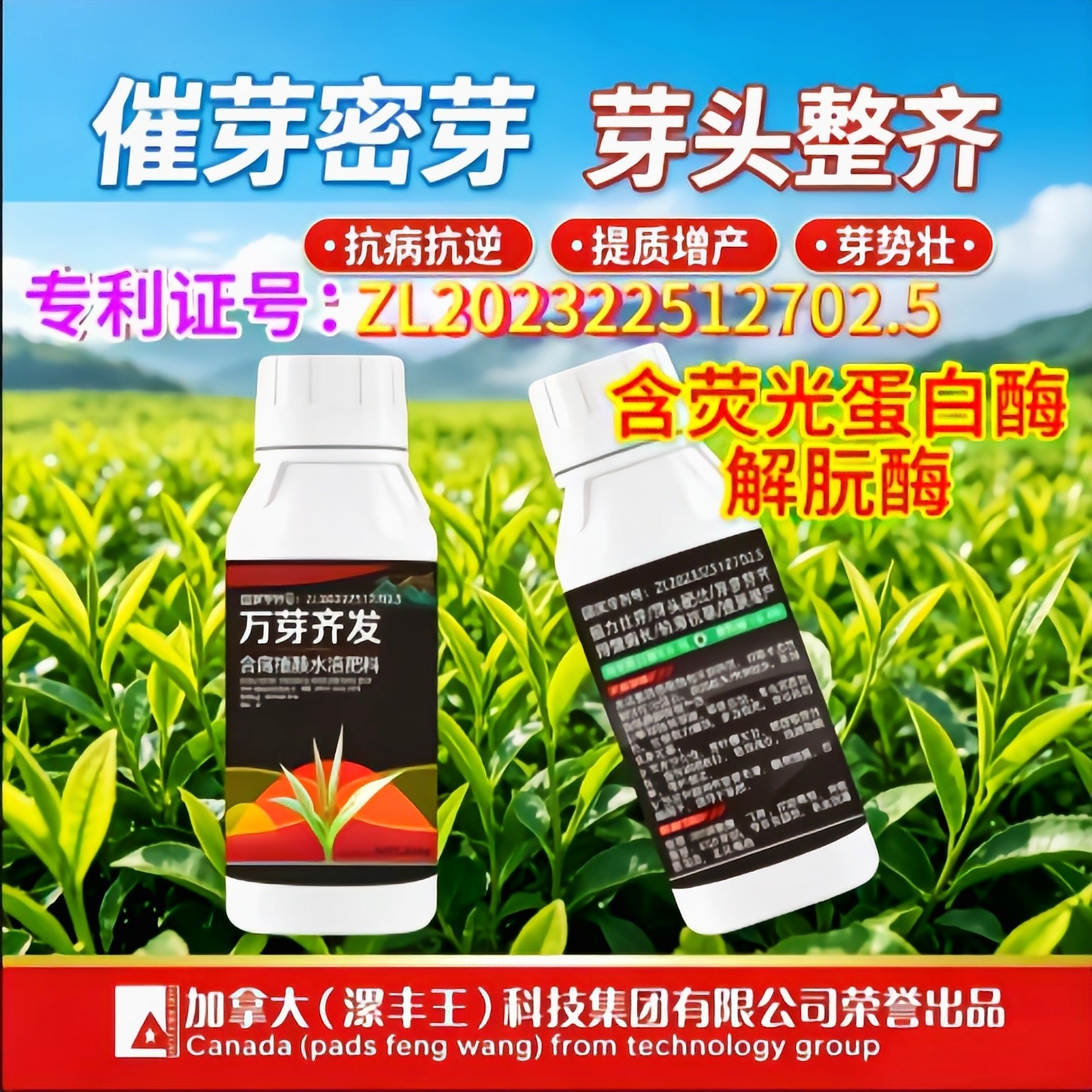 茶叶防冻剂增产芽多多专用叶面肥爆芽催芽肥茶树控花药肥料水溶肥图片
