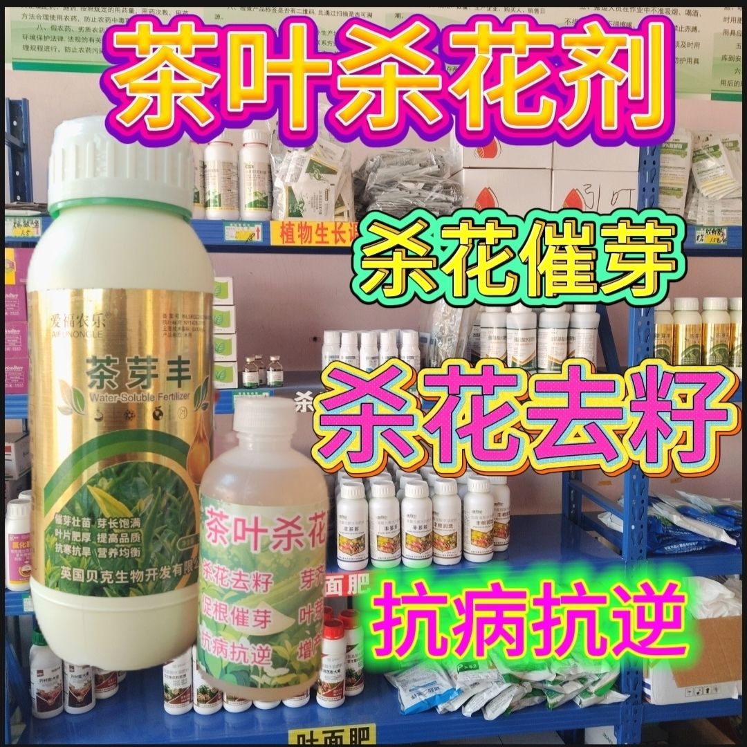 茶叶控花药杀花剂催芽剂枯叶病专叶面肥