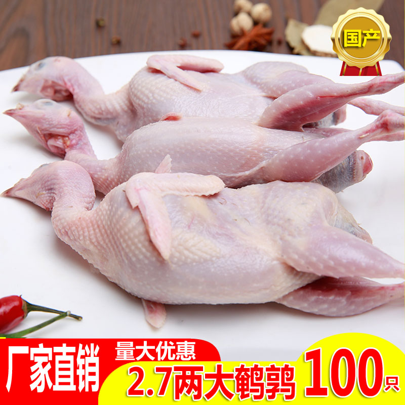 现杀新鲜大母鹌鹑冷冻肉放血非鸽子肉酒店食材商用100只厂家直销