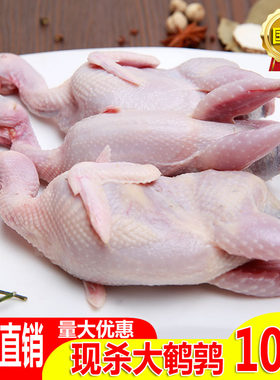现杀新鲜鹌鹑肉冷冻商用