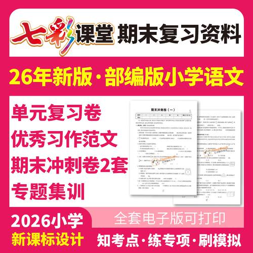 小学期末考前冲刺复习资料包打印
