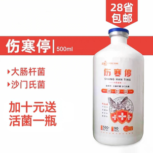 正阳鸽药赛鸽信鸽子沙门氏菌大肠杆菌副伤寒幼鸽绿便水便伤寒停