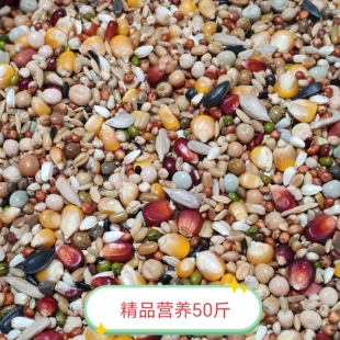 华成鸽粮赛鸽信鸽子有玉米营养鸽粮50斤鸟食种鸽元宝观赏鸽饲料