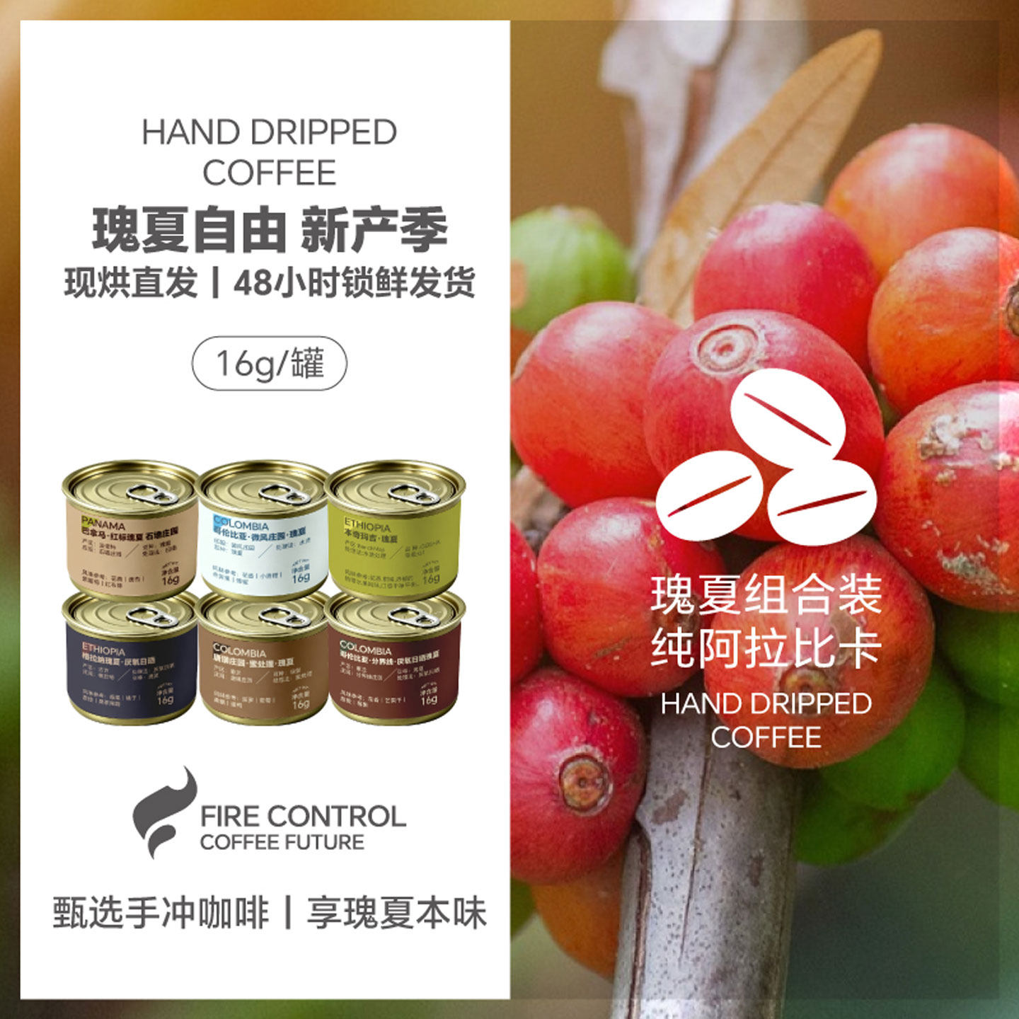 火术咖啡瑰夏咖啡豆环球甄选进口阿拉比卡新鲜烘焙手冲便携小罐装