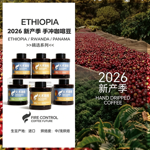 火术咖啡手冲咖啡豆耶加雪菲果丁丁甄选新鲜浅度烘焙精品咖啡豆