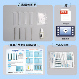 科学实验diy铁钉生锈与防锈科学小制作儿童手工物质变化材料套装