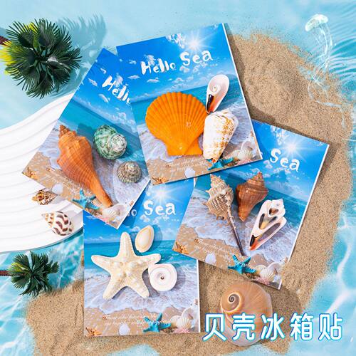 冰箱贴贝壳磁性贴纯天然