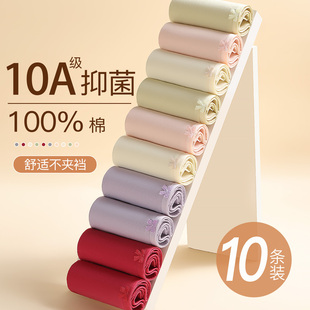 梦芭蒂马年红色结婚7A级抗菌内裤女中腰三角裤100%纯棉裆三角裤