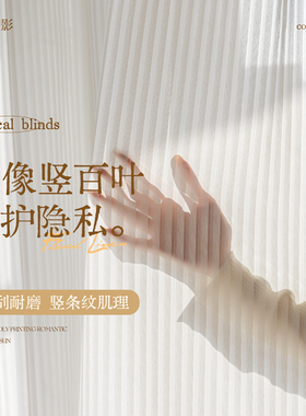 满瑞防刮竖条纹百叶纱梦幻光影保护隐私卧室阳台客厅飘窗白色纱帘